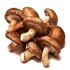 Nấm Hương Tươi