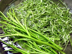 RAU MUỐNG BÀO
