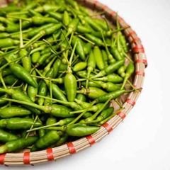 Ớt Hiểm Xanh