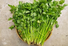 CẦN TÀU