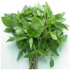 Húng Quế