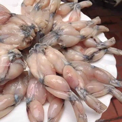 Ếch Làm Sạch