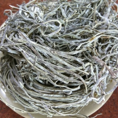 PHỔ TAI