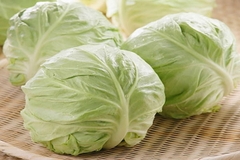 Bắp Cải Trắng