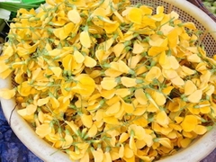 Bông Điên Điển