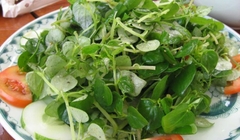 Rau Càng Cua