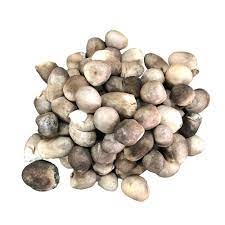 Nấm Rơm