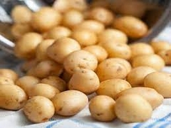 Khoai Tây Bi
