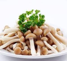 Nấm Linh Chi Nâu