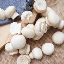Nấm Mỡ Trắng