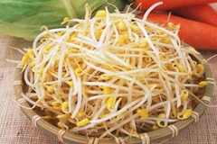 GIÁ SỐNG