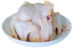 Gà Tam Hoàng