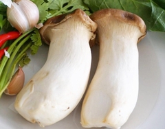Nấm Đùi Gà