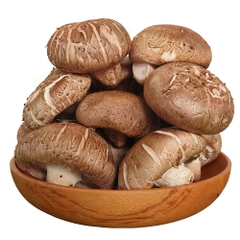 Nấm Đông Cô Tươi