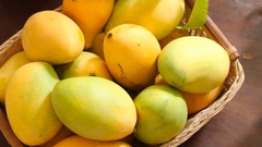 Xoài Cát Hoà Lộc Chín