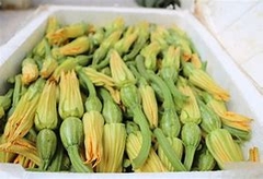 Bông Bí