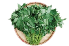 Rau Đay Làm Sạch