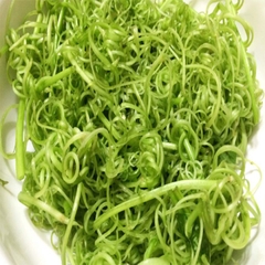 RAU MUỐNG BÀO