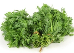 TẦN Ô LÀM SẠCH