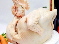 Gà Tam Hoàng