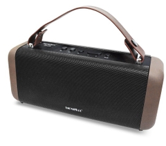 Loa Soundmax SB206 (USB/TF Card 128Gb/Bluetooth)
