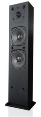 Loa SoundMAX AW 300 (Đen)