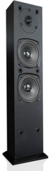 Loa SoundMAX AW 300 (Đen)