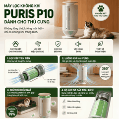 Mova Puris P10 - Máy Lọc Không Khí 2026 tại Citimall - Gigavietnam 02