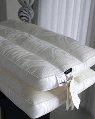 Set 2 Gối Xơ Đậu Organic size 48x74cm