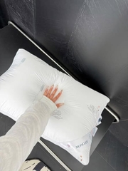 Set 2 gối Moncler size 48x74cm