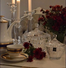 THỐ PHA LÊ ROGASKA CROWN JEWEL 12CM-19CM (1 THỐ)