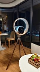 Quạt lọc không khí ULTTY BB
