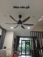Quạt trần đèn CeilingFanking QT-001