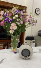 Loa Devialet Mania