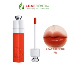 Son Dior Addict Lip Tint 731 Natural Ginger - Cam Gạch (Fullbox)
