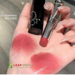 Son Dior Addict Hydrating Shine 667 - Hồng Đất