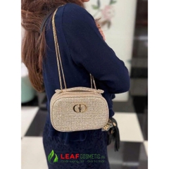 Túi Dior Holiday Gold Bling Cosmetic Pouch