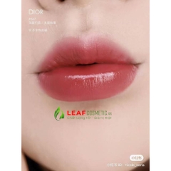 Son Dior Addict Hydrating Shine 667 - Hồng Đất
