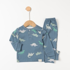 Bộ cotton TE-bé trai ĐB007 9/36m sơ sinh