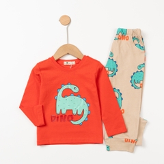 Bộ cotton trẻ em - bé trai ĐB003 2/10 TSD07