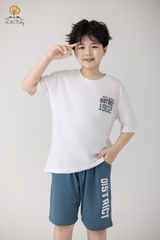 Bộ cotton cộc tay, quần đùi, bé trai size 10/16 tuổi