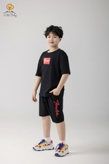 Bộ cotton cộc tay, quần đùi, bé trai size 10/16 tuổi