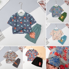 Bộ cotton BT ngắn tay siêu nhân, chó 2/10 x24