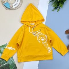 Áo nỉ hoodie in gấu 9/14