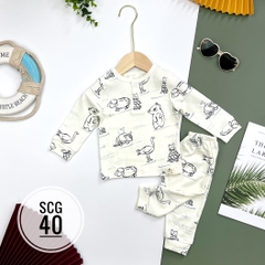 Bộ sơ sinh cotton PC 6/36m x22