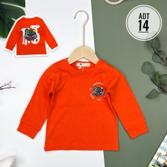 Áo bé trai cotton thu đông nhiều màu size đại 8/16