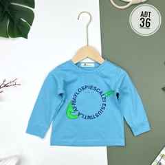 Áo bé trai cotton thu đông nhiều màu size đại 8/16