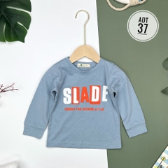 Áo bé trai cotton thu đông nhiều màu size đại 8/16