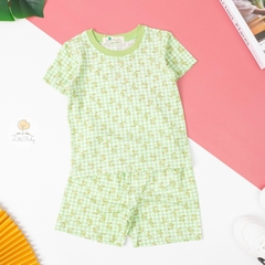 Bộ cotton sợi tre Hàn Quốc có tay 2/6T