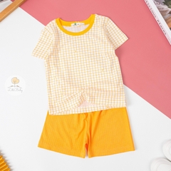 Bộ cotton sợi tre Hàn Quốc có tay 2/6T